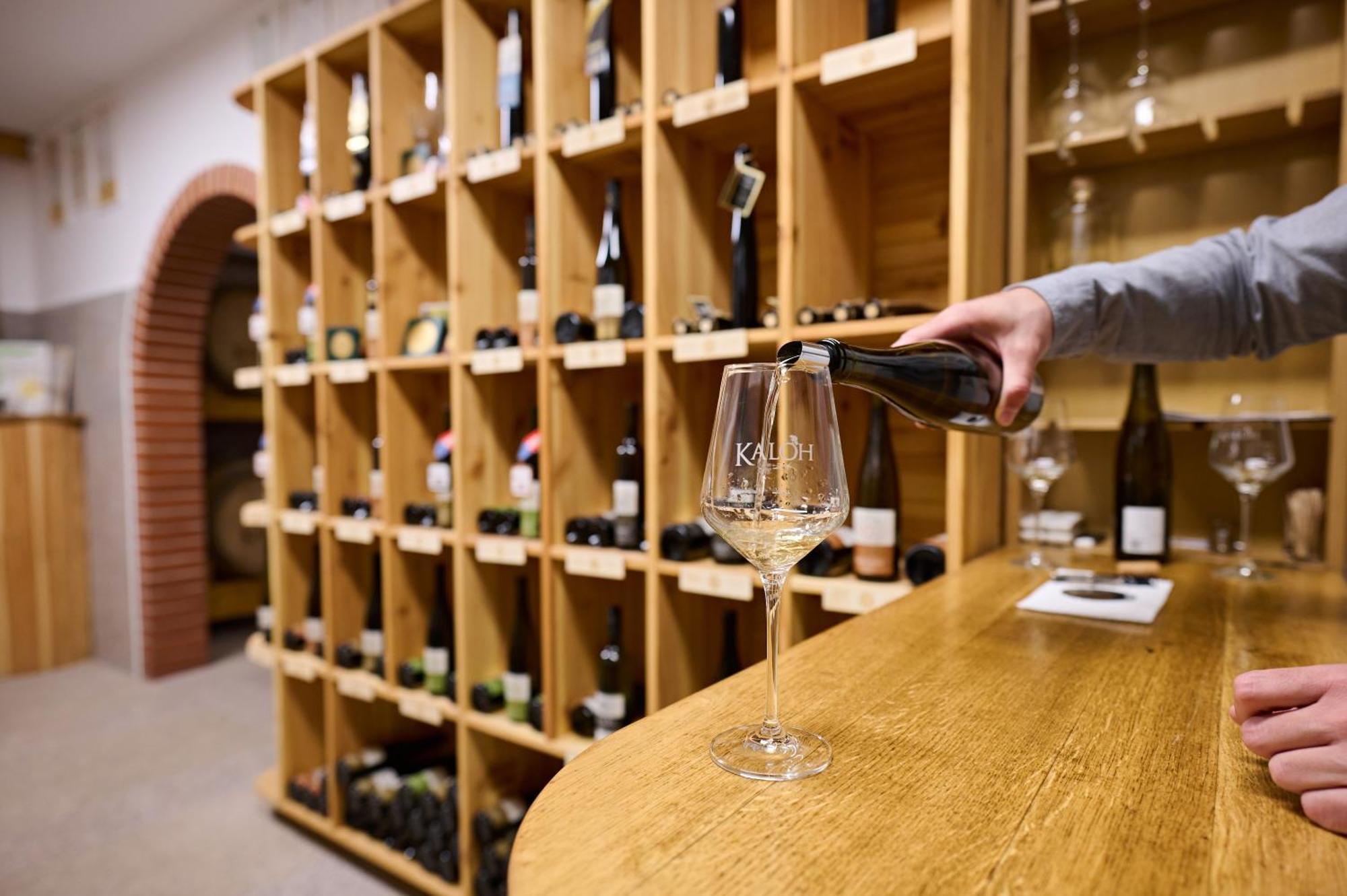 Wine House Kaloh Villa มาริบอร์ ภายนอก รูปภาพ