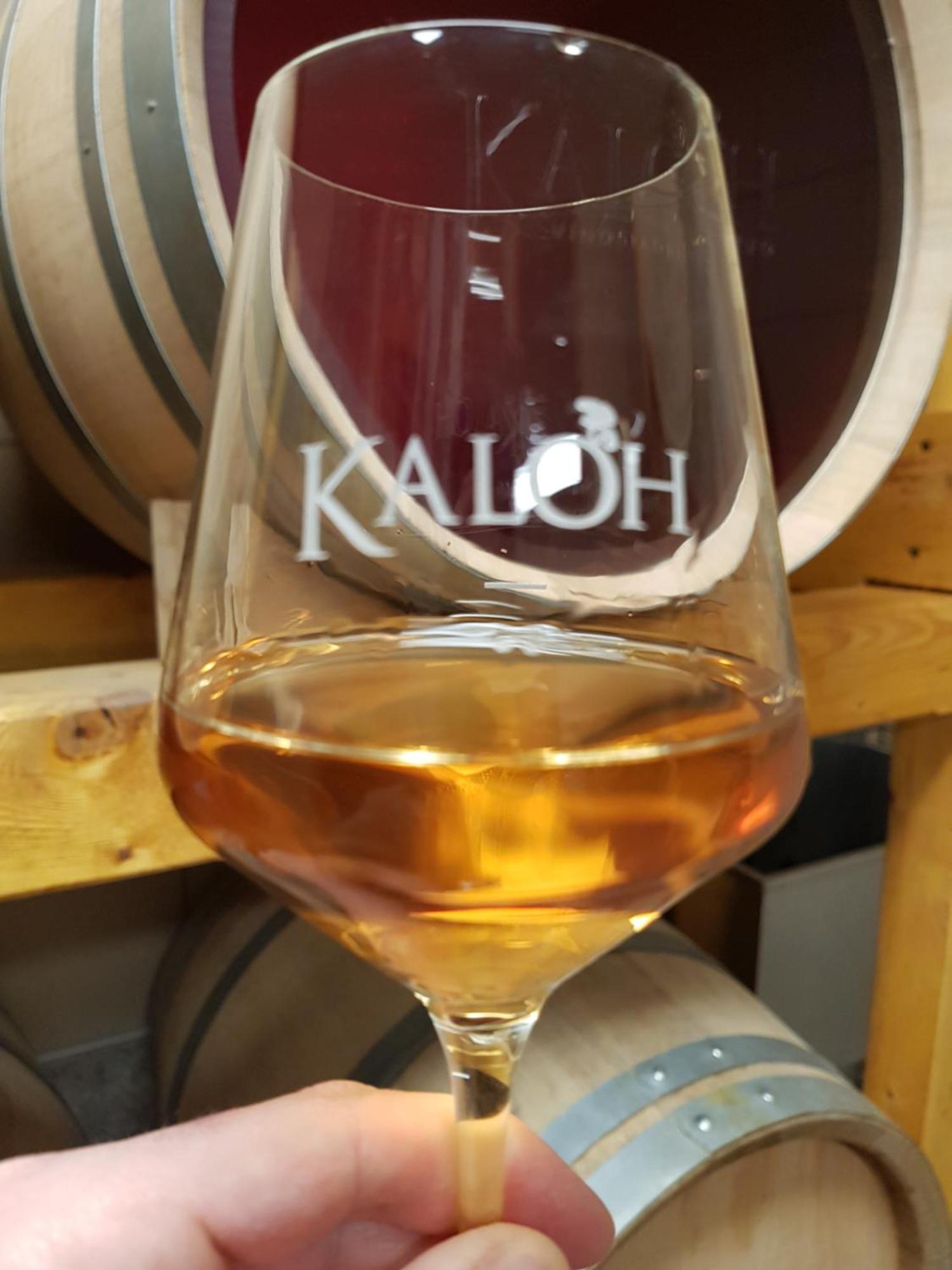 Wine House Kaloh Villa มาริบอร์ ภายนอก รูปภาพ