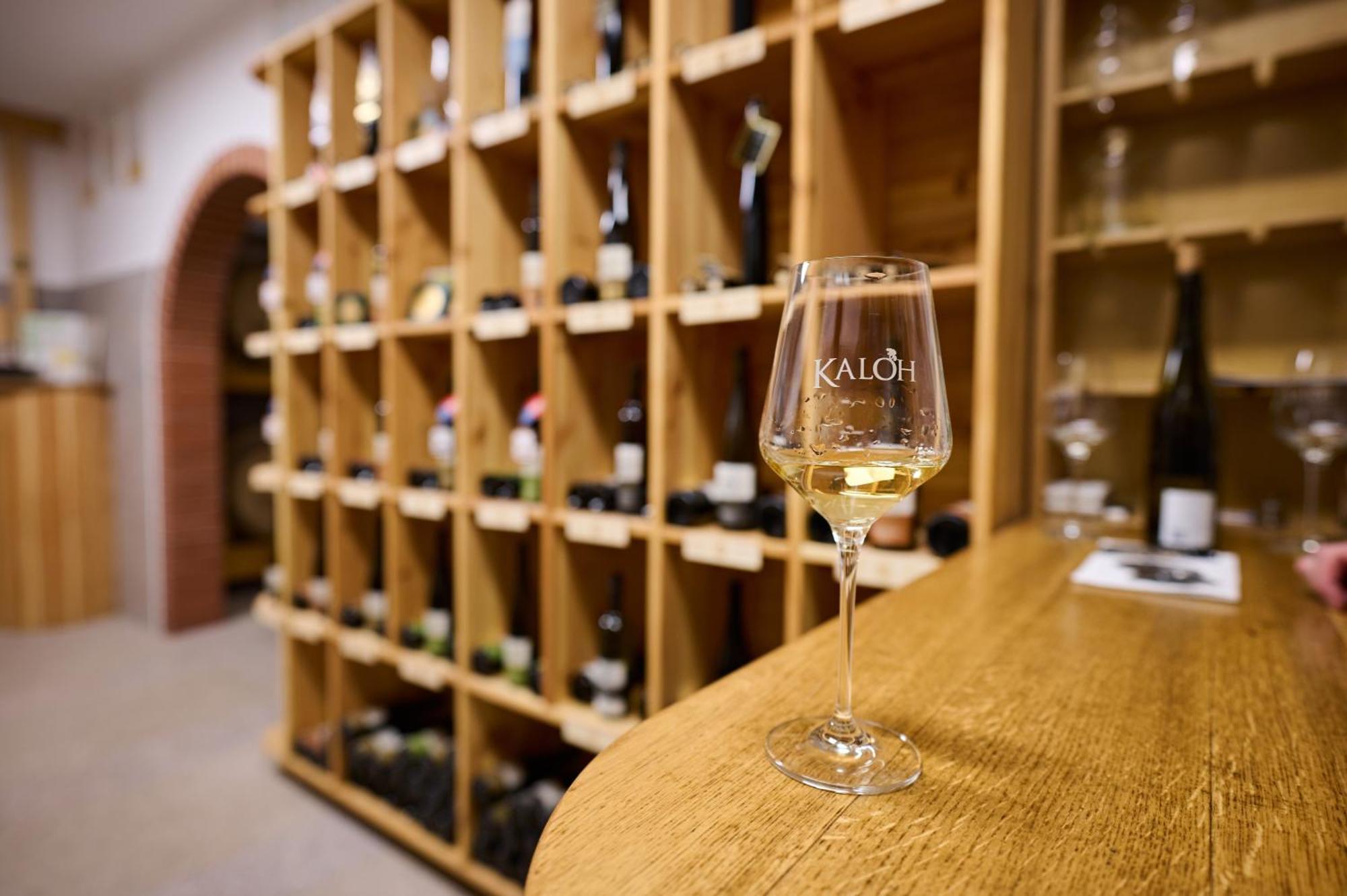 Wine House Kaloh Villa มาริบอร์ ภายนอก รูปภาพ